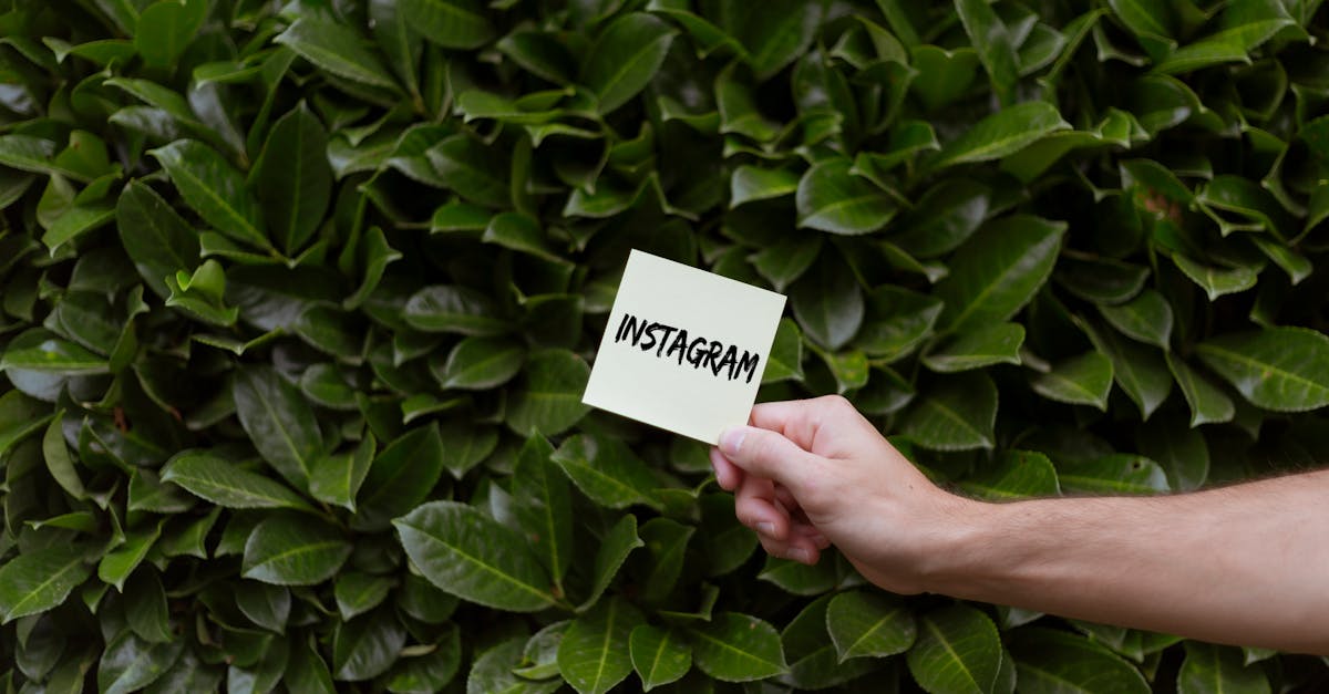 Como Aumentar Seus Seguidores no Instagram e Outras Tendências de Marketing Digital
